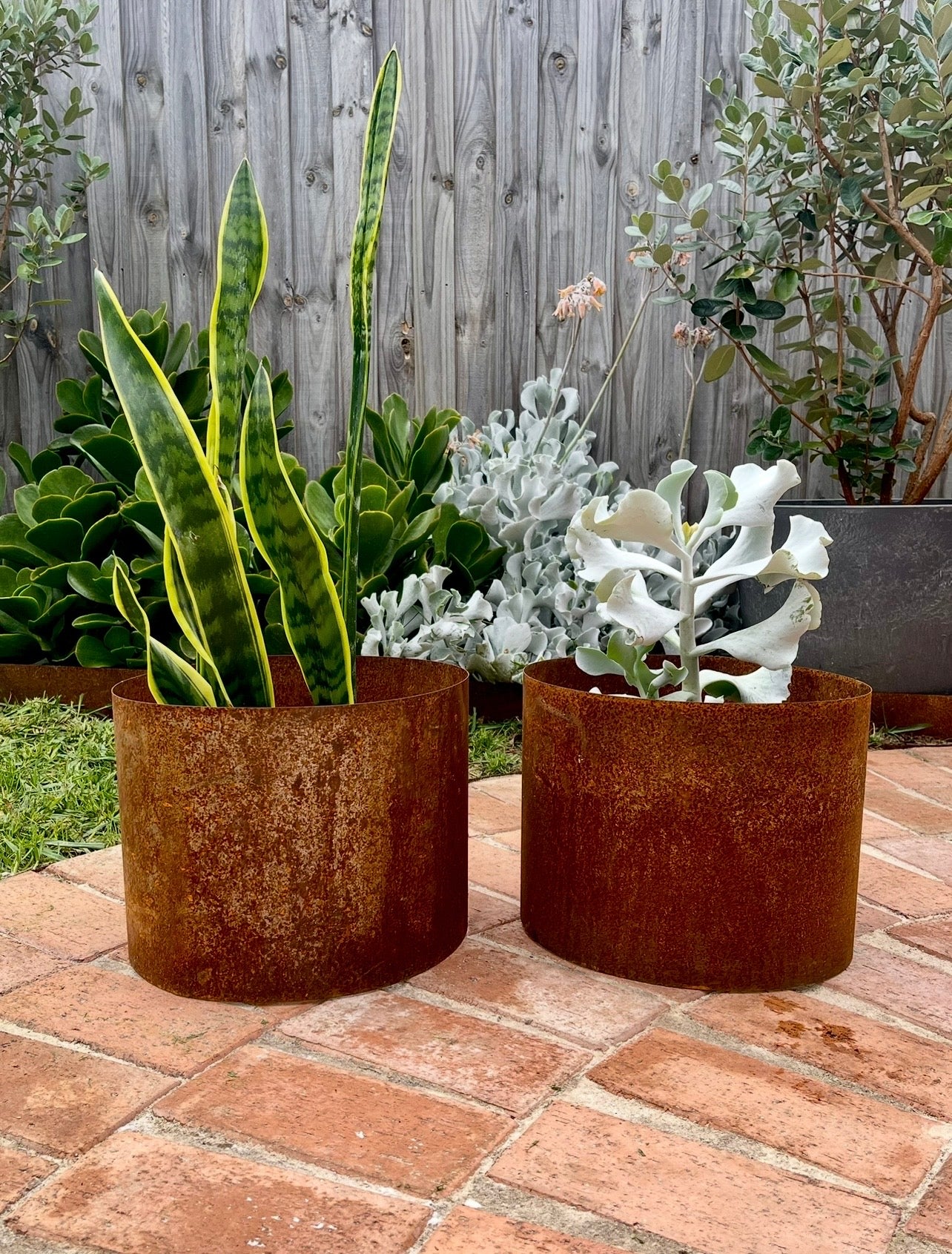 Rust Steel Open-Bottom Garden Pots